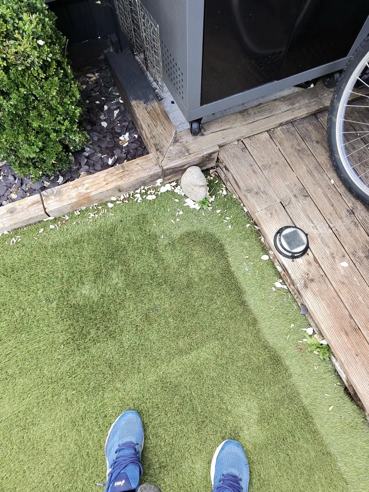 Organic debris and dirt built up at the edges of the artificial grass before cleaning