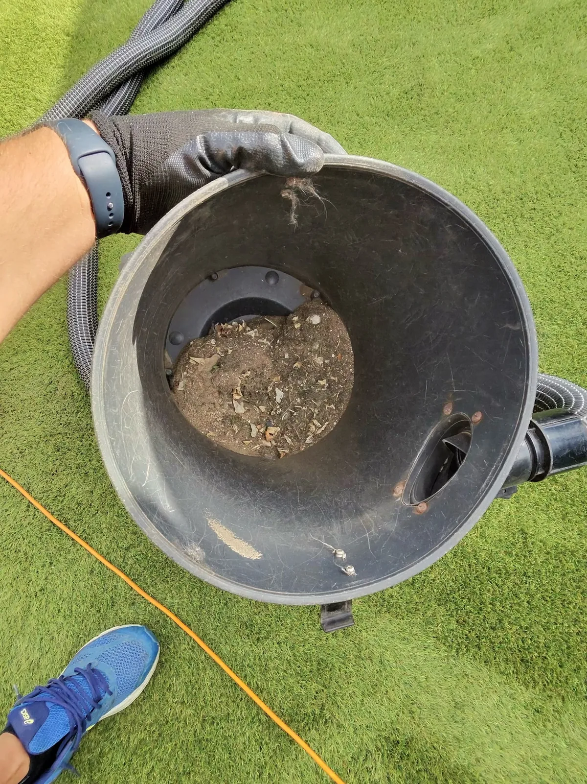 Vacuum canister full of dirt and debris extracted from artificial grass