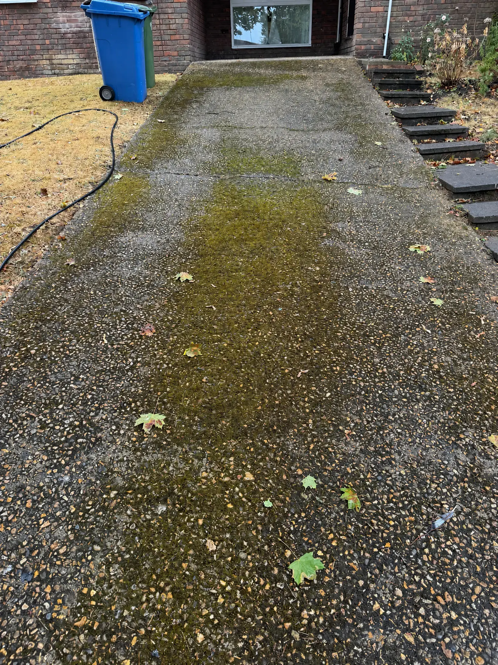 Moss-covered exposed-aggregate driveway in Northcott, Bracknell before cleaning