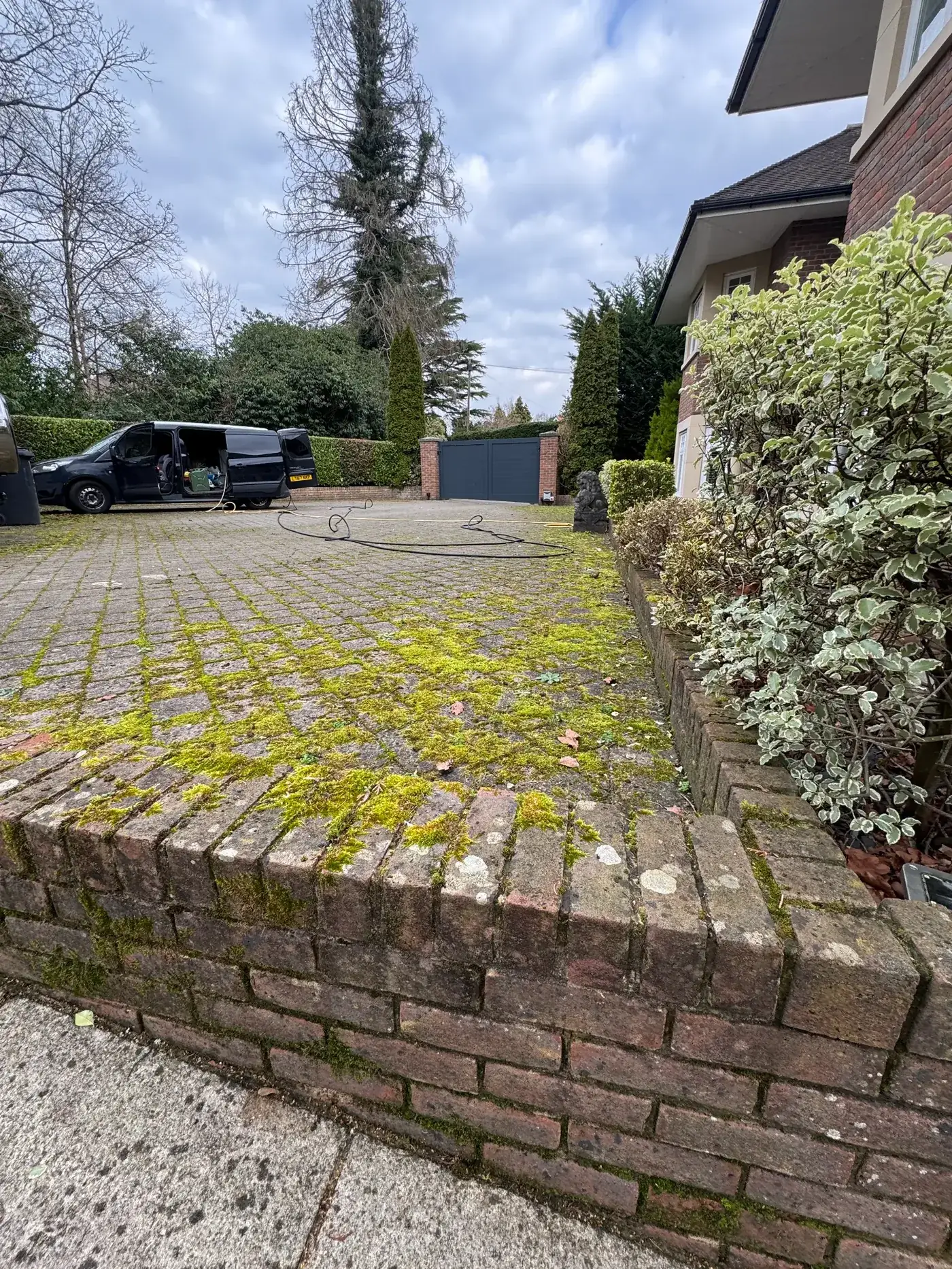 Cobble driveway before cleaning — green moss in joints