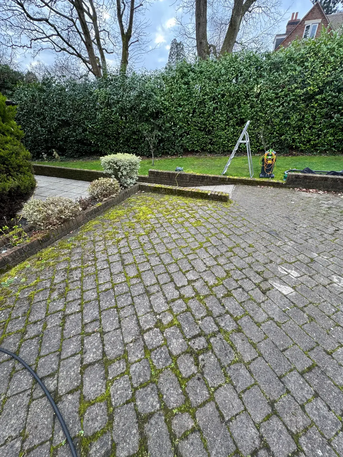 Cobble patio before cleaning — green moss in joints