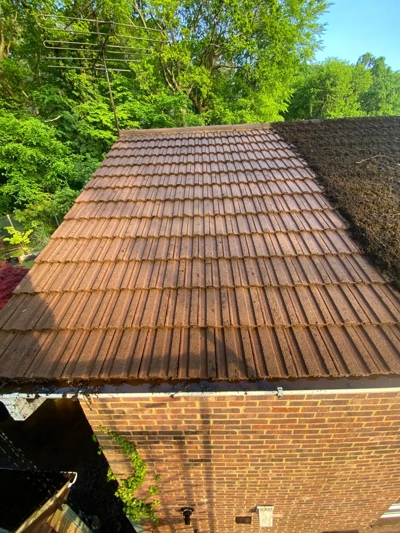 Roof after moss removal — clean tiles