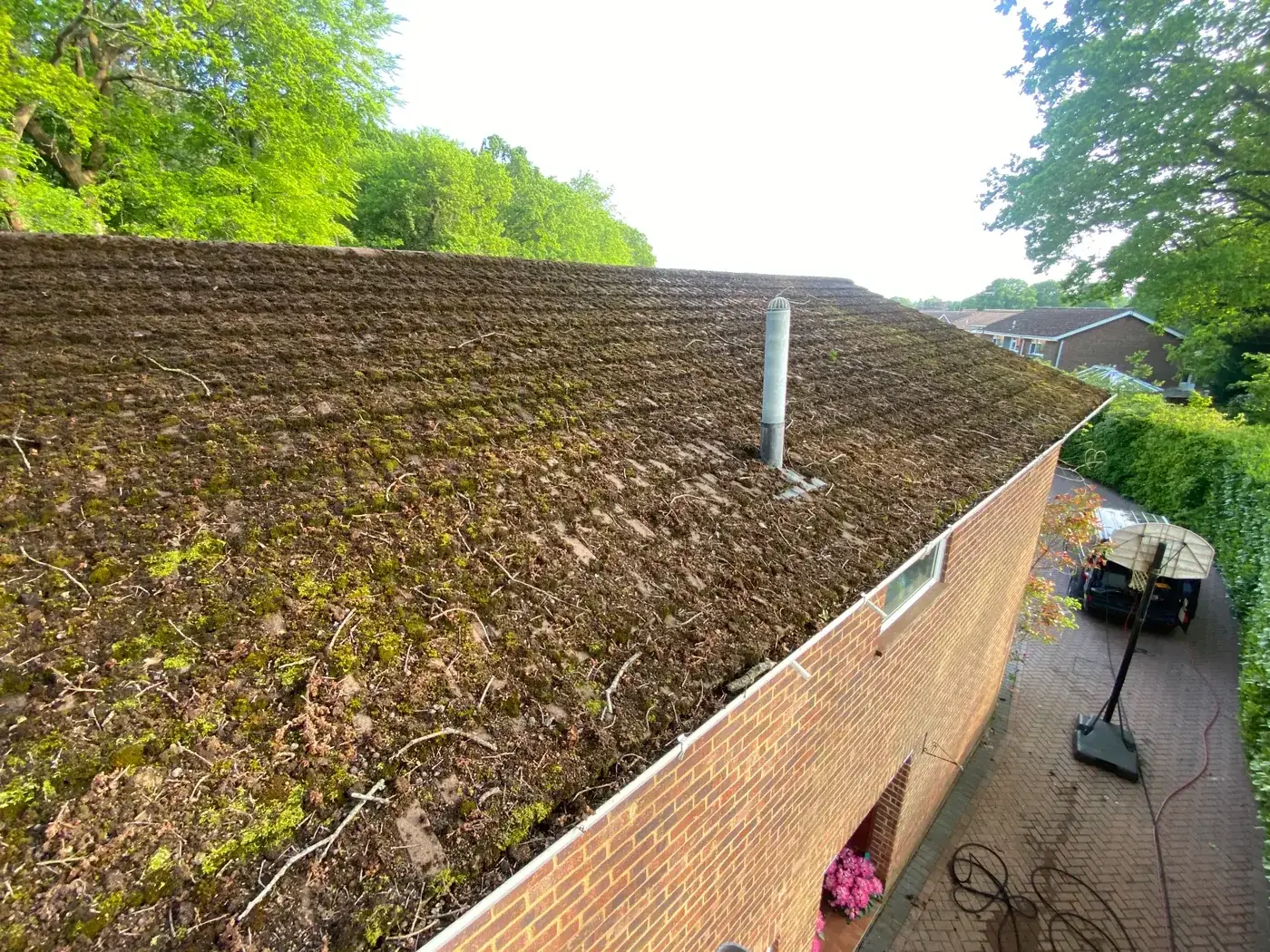 Roof before moss removal — heavy moss coverage